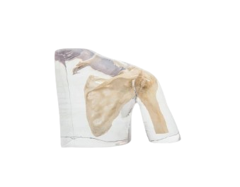 Phantom Radiologi Shoulder Joint